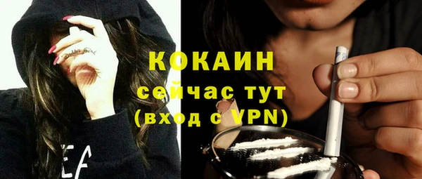 шишки Армянск