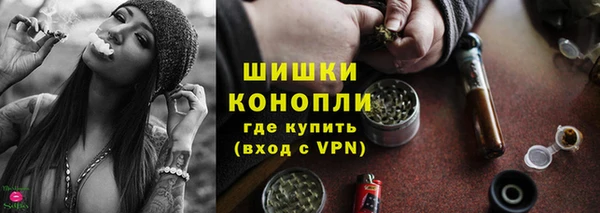 ГАЛЛЮЦИНОГЕННЫЕ ГРИБЫ Аркадак