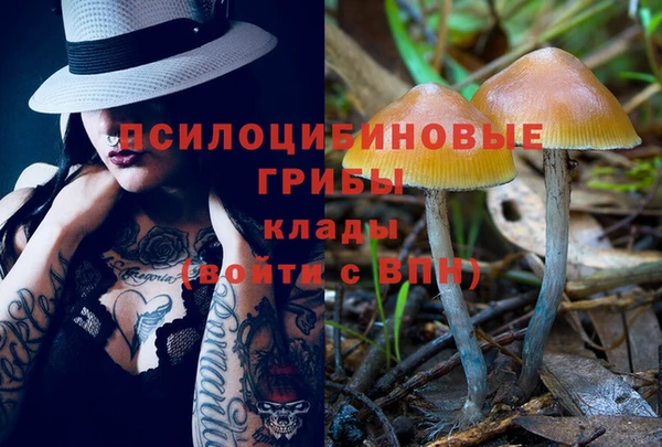 ешки Алексеевка